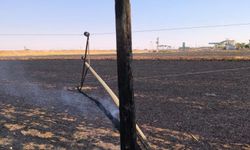 Diyarbakır'da anız yangınları enerji altyapısını tehdit ediyor