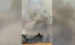 Antalya’da orman yangını