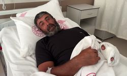 Ayı saldırısında 1 yaralı