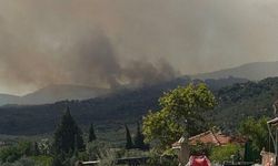 Orman yangınında yerleşim yerleri tahliye ediliyor