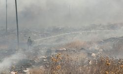 Diyarbakır’da çevre alarmı: Doğal kaynaklar ve insan sağlığı risk altında