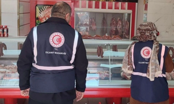 Diyarbakır'daki bir kavurmacıda at ve eşek etti tespit edildi