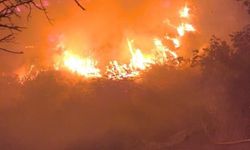 Serra Bucak'tan Lice yangınına ilişkin açıklama