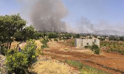 Diyarbakır'da örtü yangını