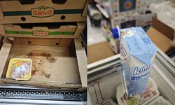 Diyarbakır’da zincir markette tarihi geçmiş ürünlere el konuldu