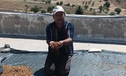 Diyarbakır'da dutlar pazardaki yerini aldı