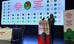 DBP Eş Genel Başkanı Uçar: Ekonomi baskıcı yönetime dönüştü