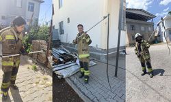 Diyarbakır'da 53 günde 88 yılan görüldü; En çok hangi bölgede görüldükleri açıkandı