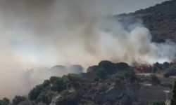 Fransa’da 4 bin 649 hektar alan kül oldu