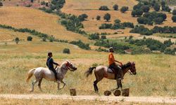 Hazro'nun atları şampiyonluğa koşuyor