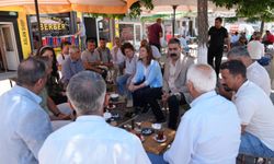 Diyarbakır Büyükşehir Belediyesi Eş Başkanları Varto’da