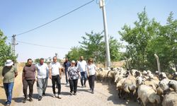 Kayapınar Belediyesinden yol çalışması