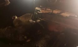 Diyarbakır'da trafik kazası 15 koyunun canına mal oldu