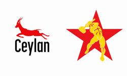 Munzur Festivali’nde kitaplara gözaltı