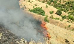 Malatya'da orman yangını