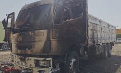 Mardin'de park halindeki kamyonda yangın