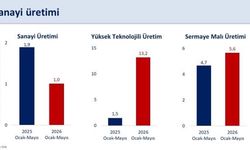 Hazine Bakanı: İlk beş ayda sanayi üretimi yüzde 1 arttı