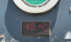 Şanlıurfa sıcaklık 45 dereceye vardı