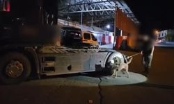 Şırnak'ta zehir yüklü tır uygulama noktasında yakalandı