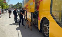 Sivas'ta Madımak yürüyüşünde polisin dedektör köpekli araması