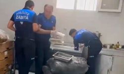 Şanlıurfa'da 187 kilo bozuk et ele geçirildi