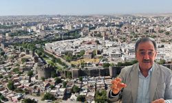 DEVA Partili Merdanoğlu: Kalıcı barışla ekonomi şaha kalkacak