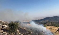Diyarbakır Hazro'da örtü yangını