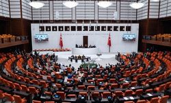 Yeni Parti Meclis sitesinde yerini aldı