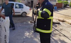 Diyarbakır'da dev yılan yatak odasında bulundu