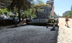 Diyarbakır'da bozuk yollar onarılıyor