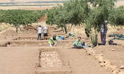 Şanlıurfa’da Çin’in Türkiye’deki ilk arkeolojik kazısı başladı