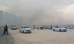 Diyarbakır'da anız yangını rüzgarın etkisiyle hayatı olumsuz etkiledi