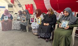 Diyarbakır'da nöbet tutan aileler yeni süreçten umutlu; çocuklarına çağrı yaptılar
