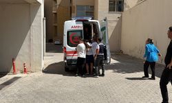 Siverek’te Fırat Nehri’ne giren 2 kişi boğuldu