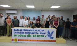 Amed Emek ve Demokrasi Platformu: Demokratik adımlar atılmalı