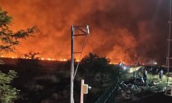 Diyarbakır'da bir yangın daha!