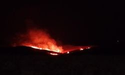 Diyarbakır’da anız ve örtü yangını