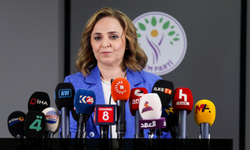 DEM Parti Sözcüsü Doğan: Eleştirilerimizi yapacağız, önerilerimizle süreci güçlendireceğiz