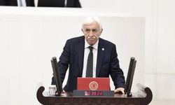 Cengiz Çandar: Meclis tarihi bir hukuki adım atmaya hazırlanıyor