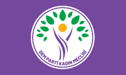 DEM Parti Kadın Meclisi’nden İkra hemşirenin ihracına tepki