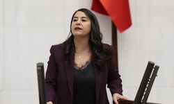 DEM Parti’den TBMM'de Ezidi soykırımı çağrısı
