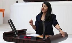 DEM Partili Güneş: Müfredat barış kültürüyle güçlendirilsin