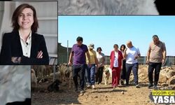 Diyarbakır Büyükşehir Belediyesinden Serra Bucak ile ilgili paylaşımlara tepki