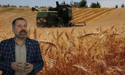 Diyarbakır’da çiftçinin yüzü gülmedi
