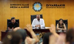 Diyarbakır'da Doğan Hatun'un yerine yeni eş başkan seçildi
