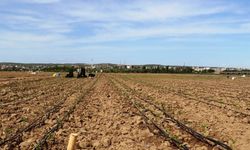Diyarbakır’da imarlı arazi satılığa çıkarıldı