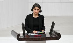 Diyarbakır’da kocası tarafından öldürülen Sultan Kara için soru önergesi