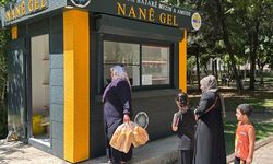 Diyarbakır'da ‘Nané Gel’ kadınlara umut oldu