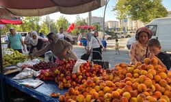 Diyarbakır’da vitamin almak cep yakıyor