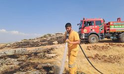 Diyarbakır'da yangın 400 dönüm alanı küle çevirdi